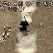 보스 이미지